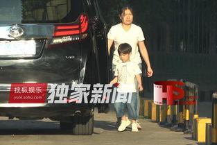 影视娱乐爆料大全,爆料大全背后的精彩故事